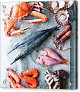 Selection Of Fresh Seafood Acrylic Print