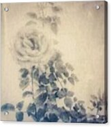 Sepia Rose Acrylic Print