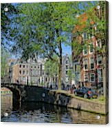 Tree Lined Canal In Amsterdam Acrylic Print
