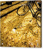 Shade Of Bike On The Fallen Leaves Of Acrylic Print