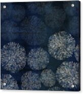 Shibori Sea Urchin Burst Pattern Dark Denim Acrylic Print