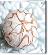 Shimmer Shells I Acrylic Print
