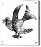 Silver Bird Acrylic Print