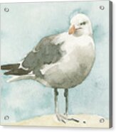 Simple Seagull I Acrylic Print