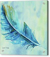 Shades Of Blue Feather Acrylic Print
