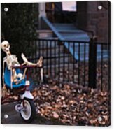Skeleton Relaxing On Tricycle Acrylic Print
