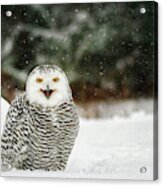 Smiling Snowy Acrylic Print