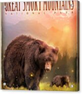 Smokey Mountain Bears Acrylic Print