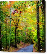 Smoky Mountain Autumn Colors Acrylic Print