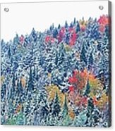 Snow And Autumn Trees, Adirondack Acrylic Print