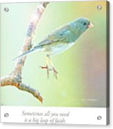 Snowbird Jumps From Tree Branch Acrylic Print