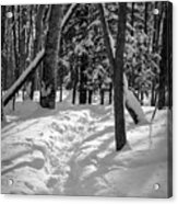 Snowshoe Path1 Acrylic Print