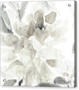 Soft May Blooms Ii Acrylic Print