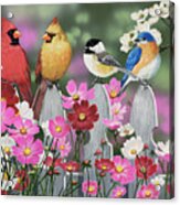 Song Birds And Cosmos Acrylic Print