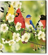 Songbirds On A Flowering Branch Acrylic Print