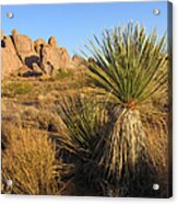 Southwestern Scene Acrylic Print