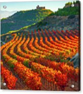 Spain, La Rioja, San Vicente De La Sonsierra, Rioja District, Vineyards And Castillo De Davalillo In Background Acrylic Print