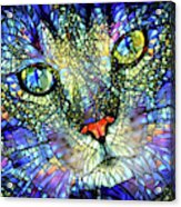 Stained Glass Cat Art Acrylic Print