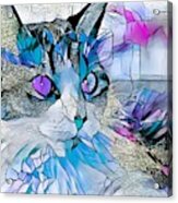 Stained Glass Cat Profile Blue Acrylic Print