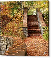 Stairway To The Forest Acrylic Print