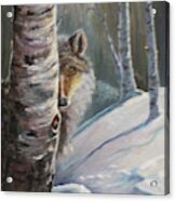 Stalking Acrylic Print