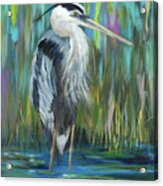 Standing Heron I Acrylic Print
