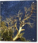Stars Light Up Arizona Sky Acrylic Print