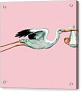 Stork Delivery Acrylic Print