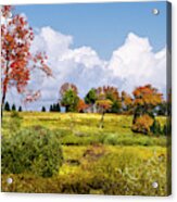 Fall Trees On Country Landscape Acrylic Print