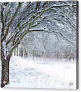 Stunning Forest Snow Winter Scene Acrylic Print