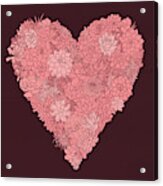 Pink Succulent Heart Dark Background Acrylic Print