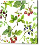 Summer Background With Berries - Acrylic Print