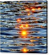 Sun Drops Acrylic Print