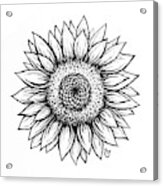 Sunflower Acrylic Print