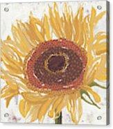 Sunflower V Acrylic Print