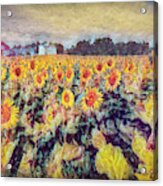 Sunflowers Surround The Farm Acrylic Print