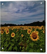 Sunny Faces In New Hampshire Acrylic Print