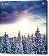 Sunrise Above The Winter Forest Acrylic Print