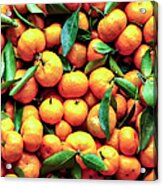Sweet Oranges Acrylic Print