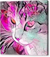 Sweet Pink Stained Glass Cat Acrylic Print