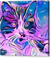 Sweet Purple Stokes Kitty Acrylic Print