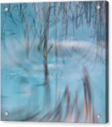 Swirling Cattails Double Exposure Acrylic Print