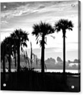 Tampa, Florida Acrylic Print