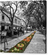 Tapestry Of Flowers In Funchal Acrylic Print