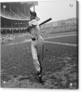 Ted Williams In Swinging Pose Acrylic Print