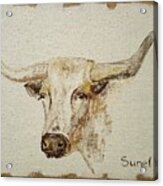 Texas Longhorn Cow Acrylic Print
