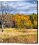 Barely Alone In Autumn Acrylic Print