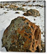 The Book Cliff's Colorful Boulders Acrylic Print