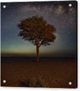 The Bush, The Tree And The Milky Way Acrylic Print