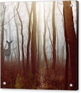 The Deer In The Fog By Joni Eskridge Acrylic Print